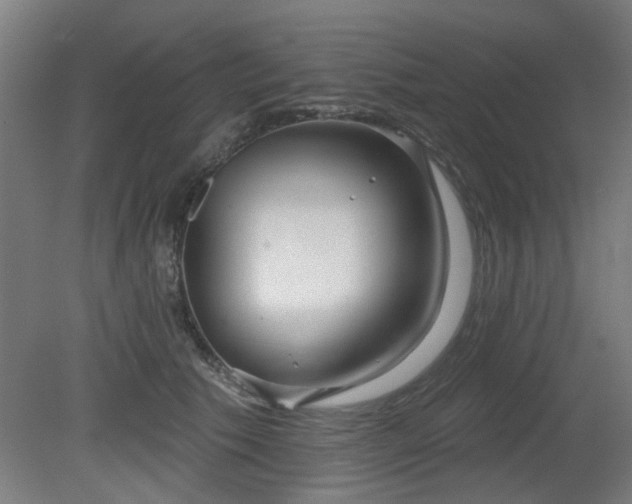 X0000079580609200612011220