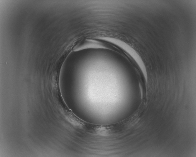 X0000079580616200612011220