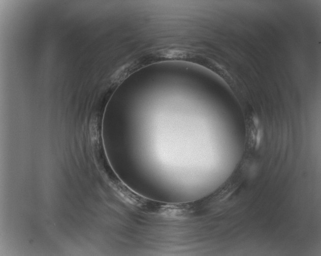 X0000079580620200612011219