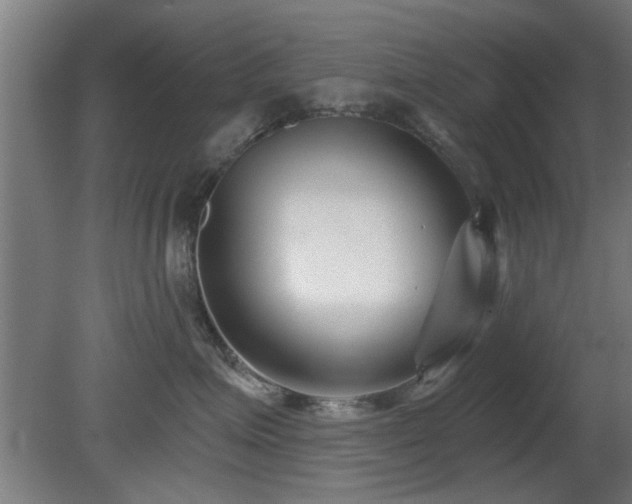 X0000079580623200612011219
