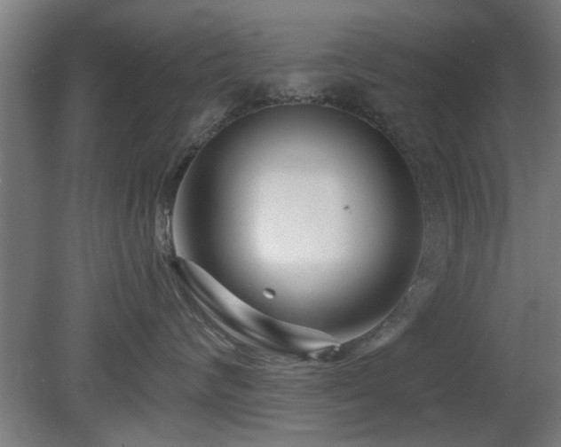 X0000079580624200612011219