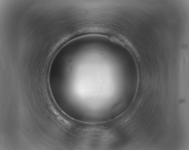 X0000079580625200612011219