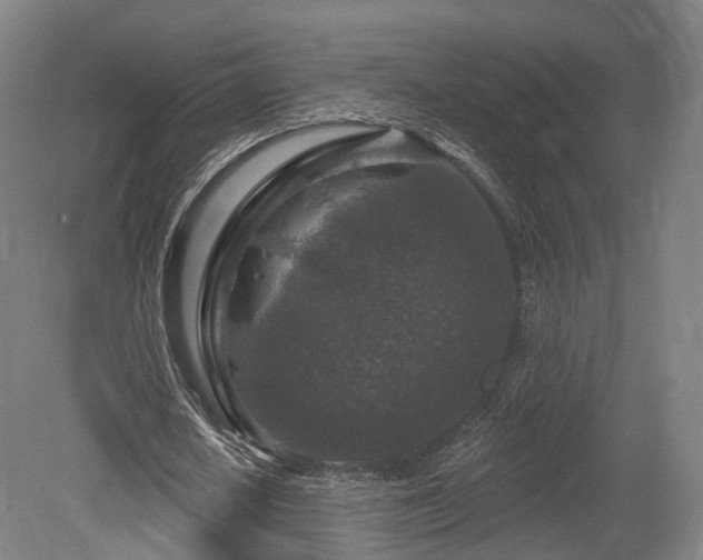 X0000079580626200612011219