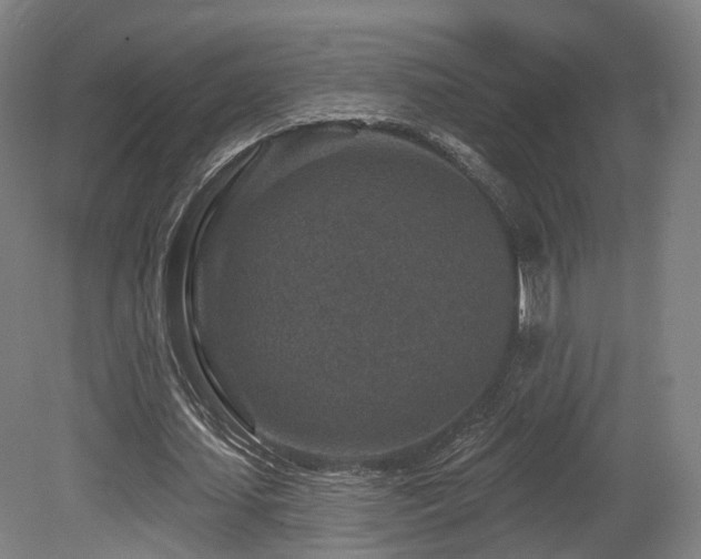 X0000079580627200612011219