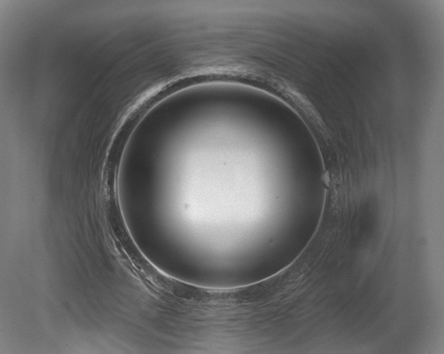 X0000079580628200612011219