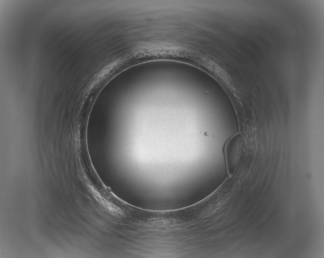 X0000079580629200612011219