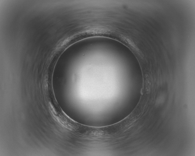X0000079580631200612011219