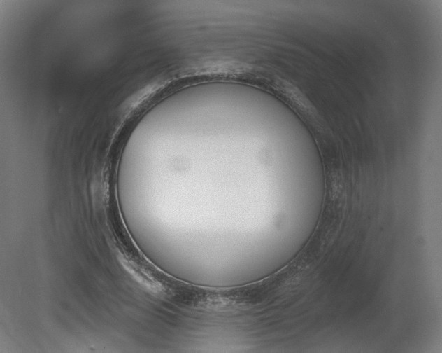 X0000079580632200612011219