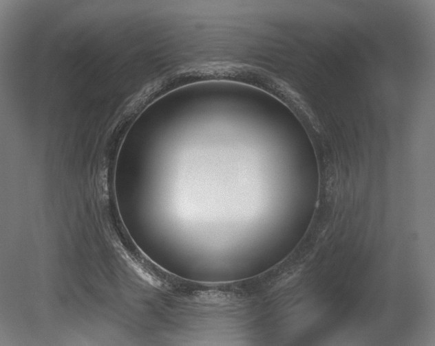 X0000079580633200612011219