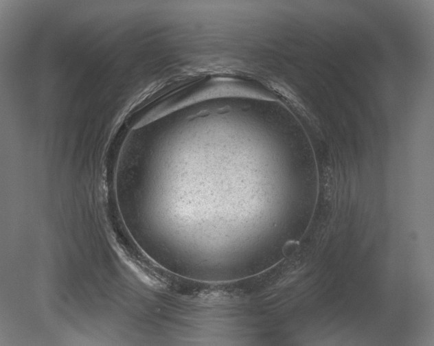 X0000079580634200612011219