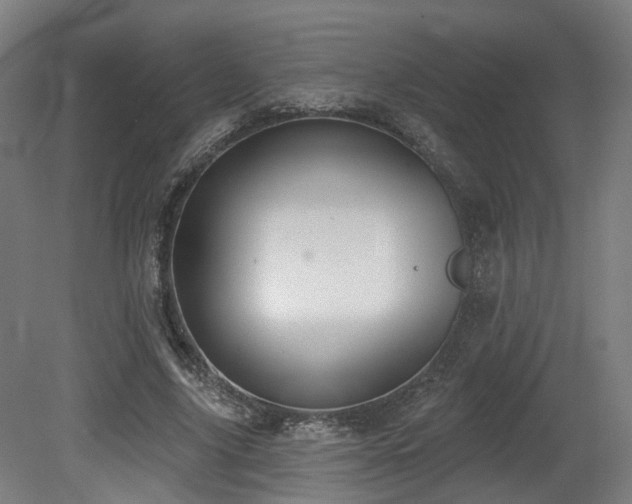 X0000079580635200612011219