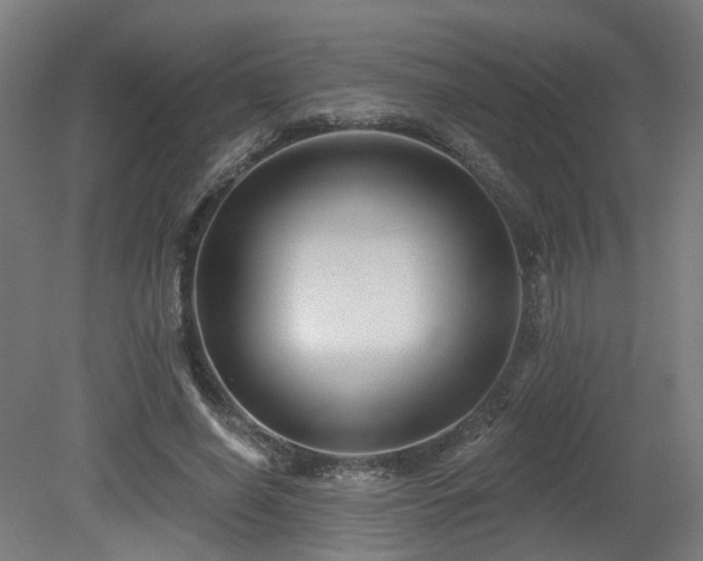 X0000079580638200612011219