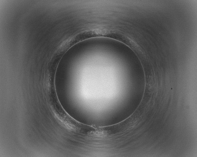 X0000079580639200612011219