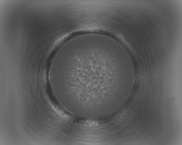 X0000079580640200612011219