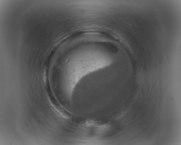 X0000079580641200612011219