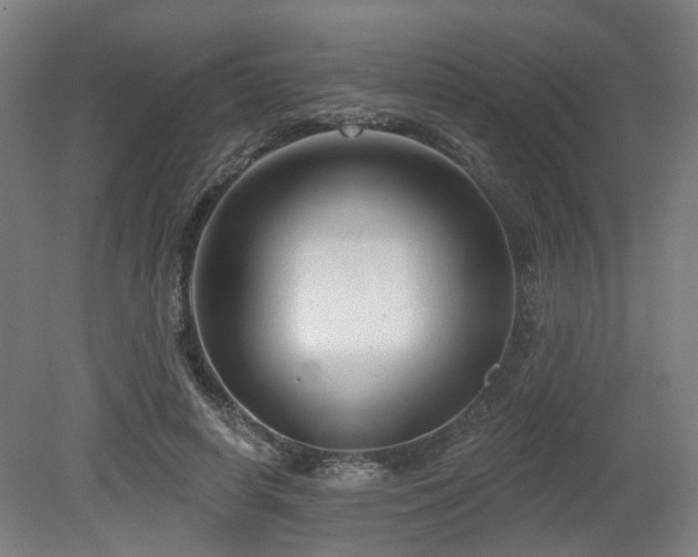 X0000079580642200612011219