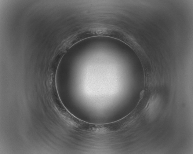 X0000079580645200612011219