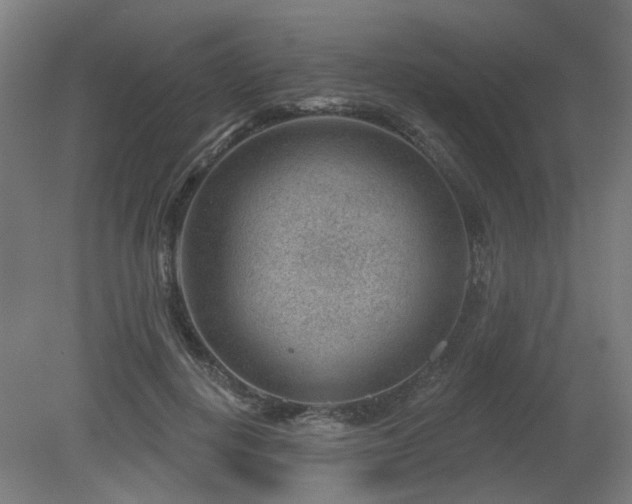 X0000079580648200612011219