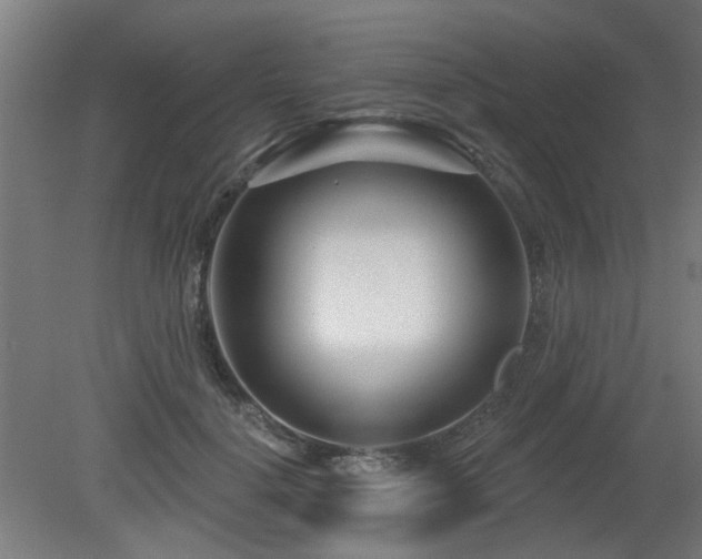 X0000079580652200612011219