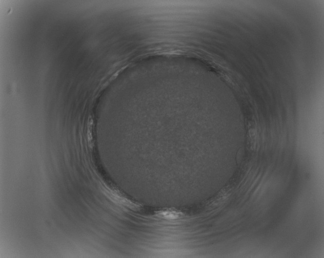 X0000079580654200612011219