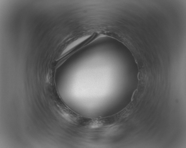 X0000079580656200612011219