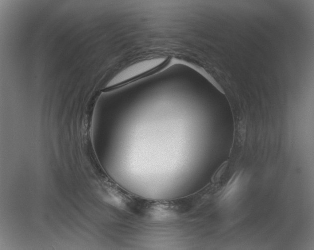 X0000079580657200612011219