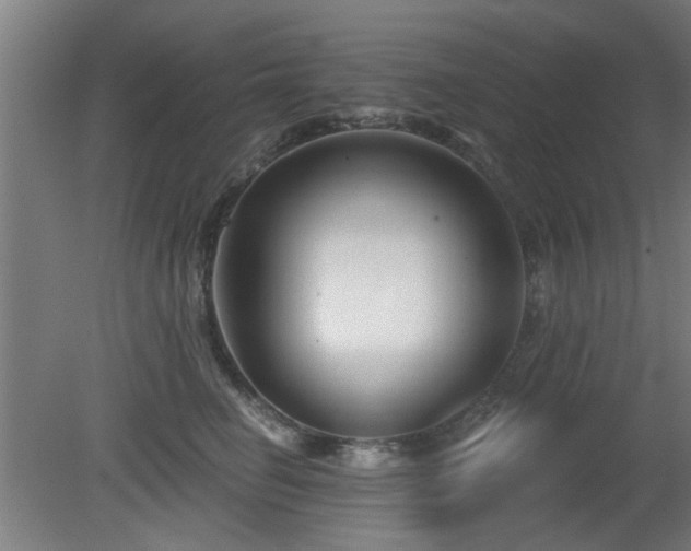 X0000079580662200612011219