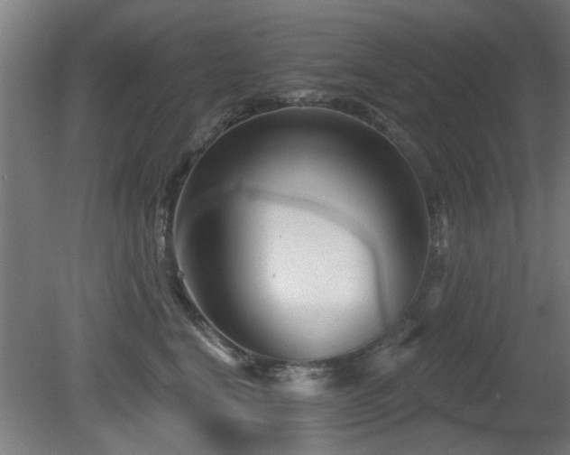 X0000079580664200612011219