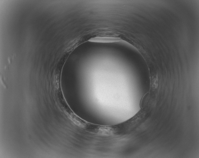 X0000079580666200612011219