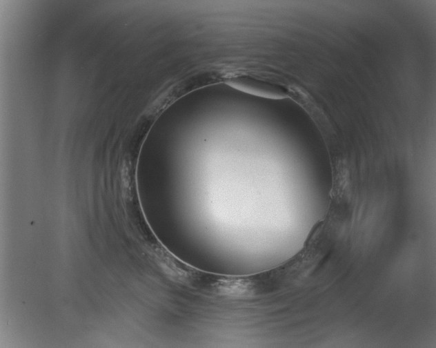 X0000079580667200612011219