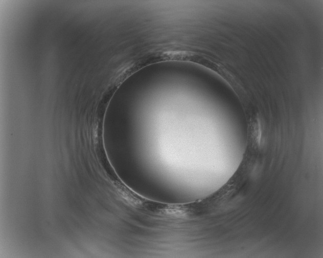 X0000079580668200612011219