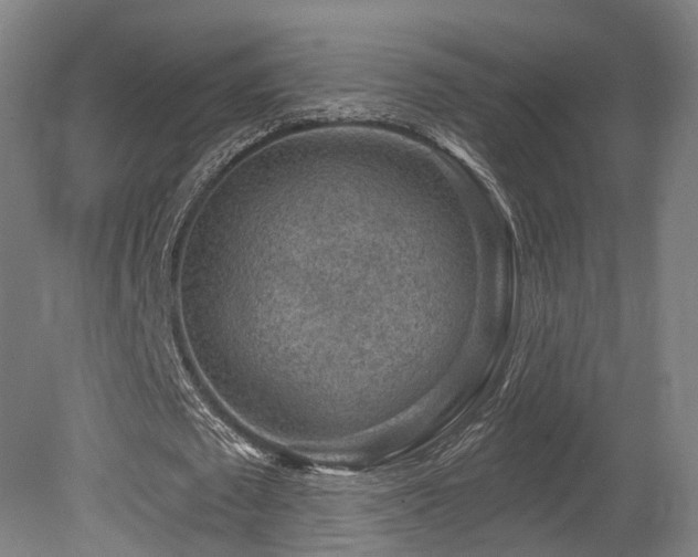 X0000079580673200612011219