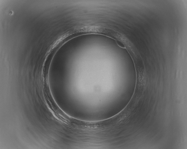 X0000079580674200612011219