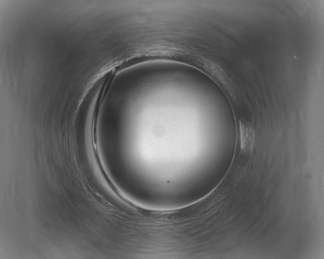X0000079580675200612011219