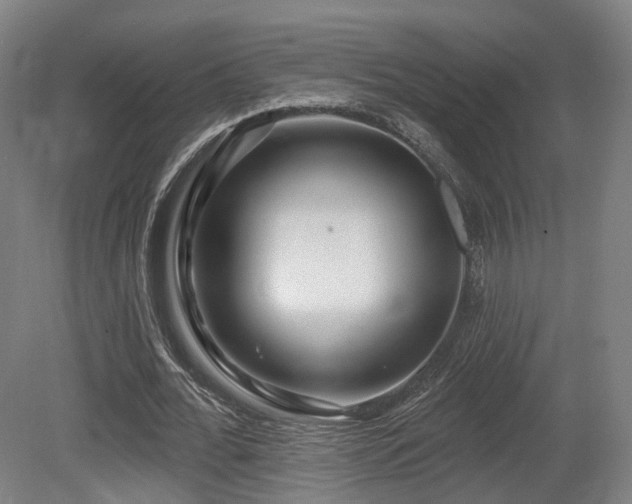 X0000079580676200612011219