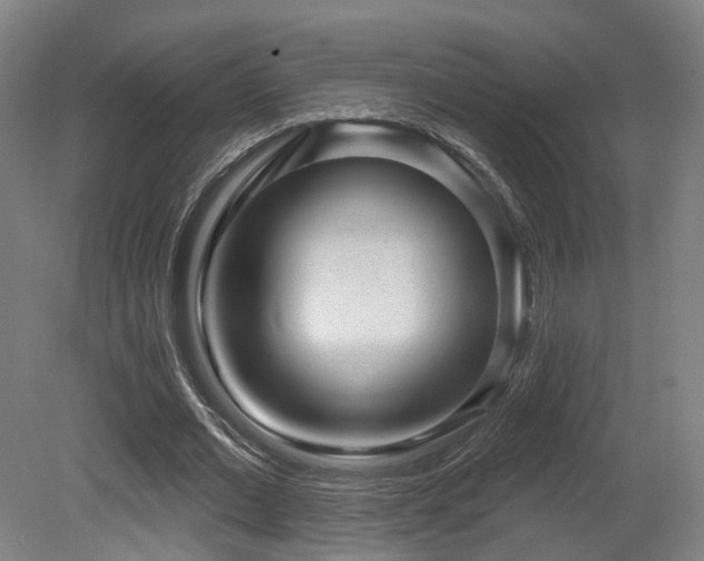 X0000079580677200612011219