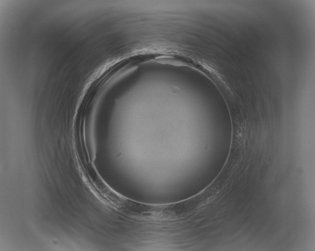 X0000079580678200612011219