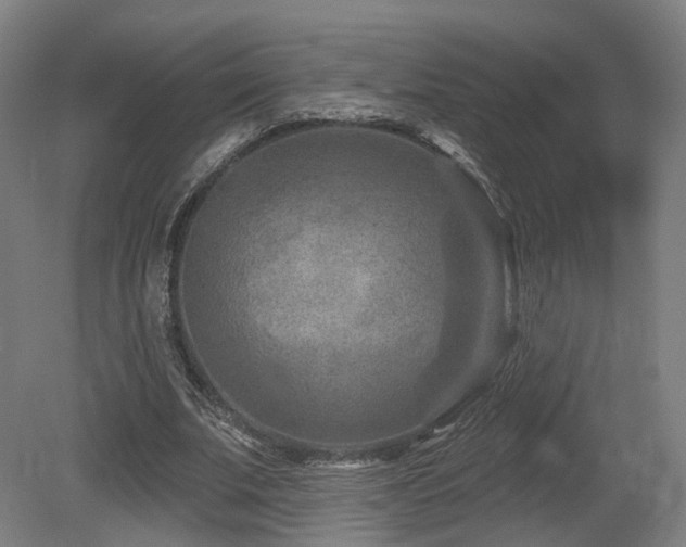 X0000079580679200612011219