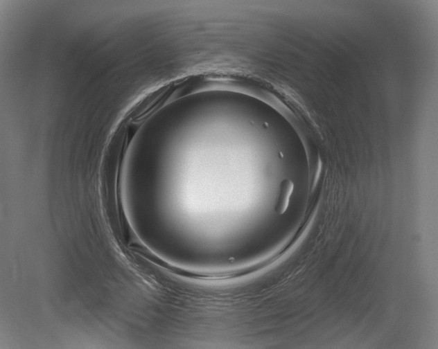 X0000079580680200612011218