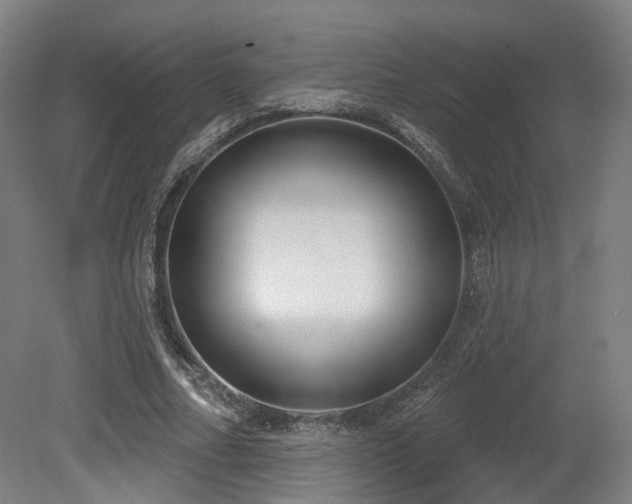 X0000079580682200612011218