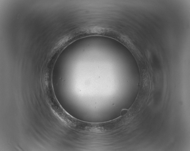 X0000079580683200612011218