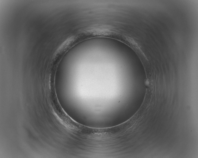 X0000079580686200612011218