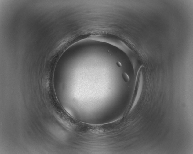 X0000079580687200612011218