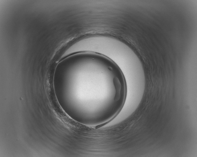X0000079580688200612011218