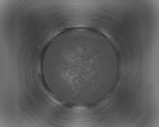 X0000079580689200612011218