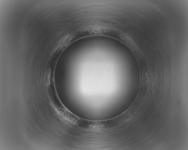 X0000079580694200612011218