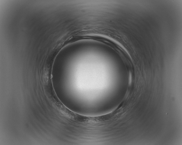 X0000079580697200612011218