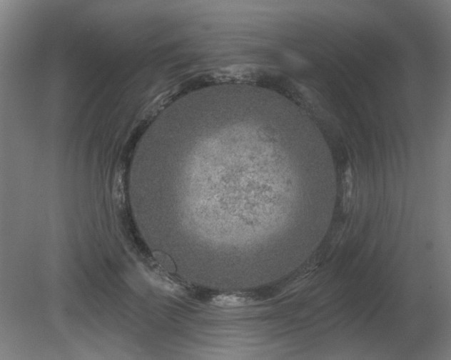 X0000079580699200612011218