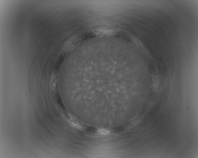 X0000079580701200612011218