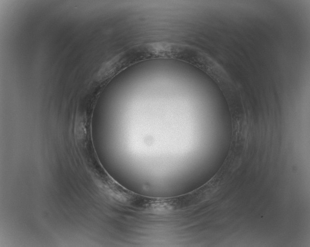 X0000079580702200612011218